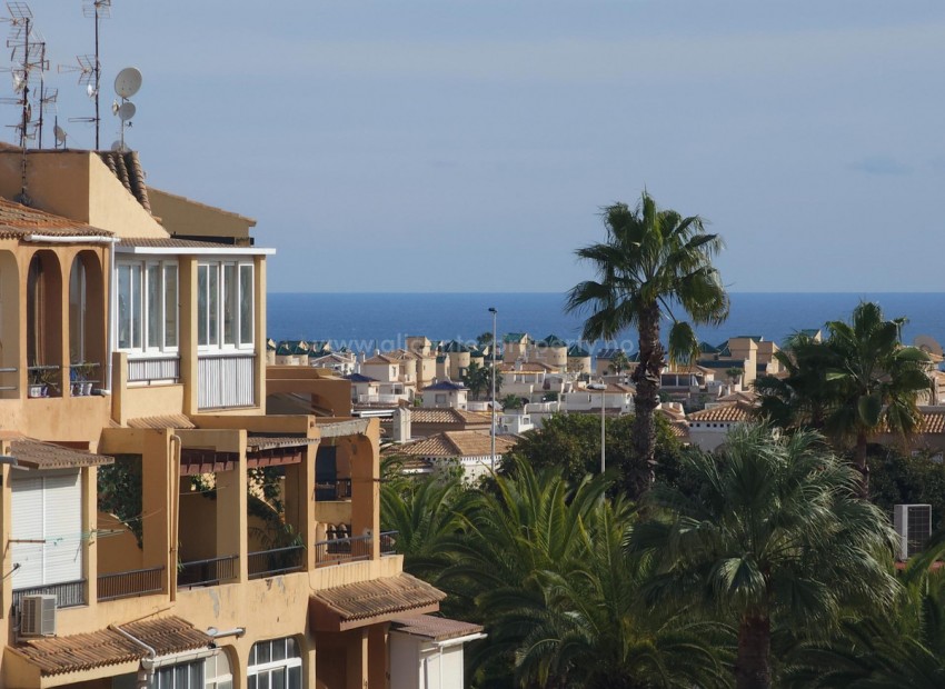 Leilighet / leilighet i Torrevieja Centro