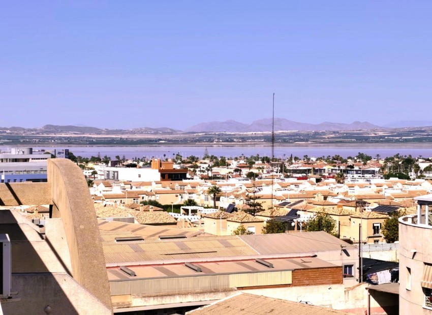 Leilighet / leilighet i Torrevieja Centro