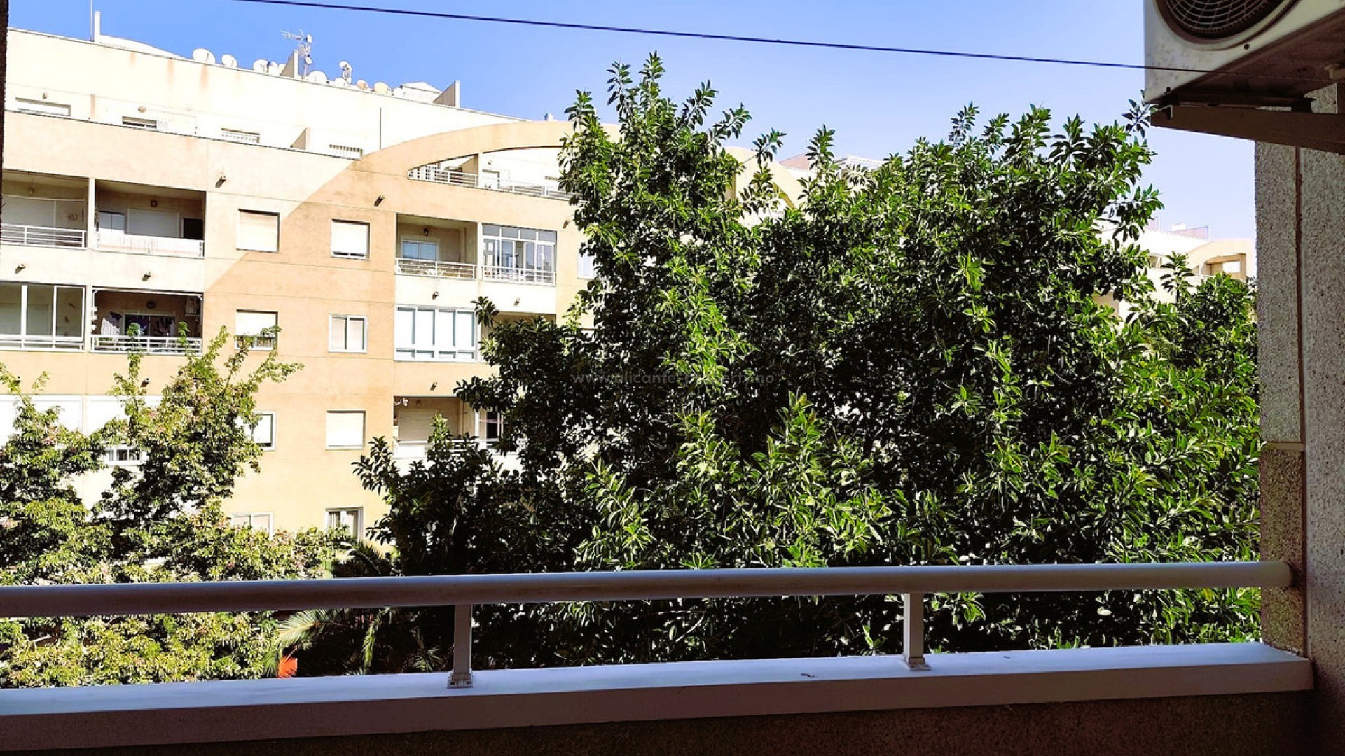 Leilighet / leilighet i Torrevieja Centro