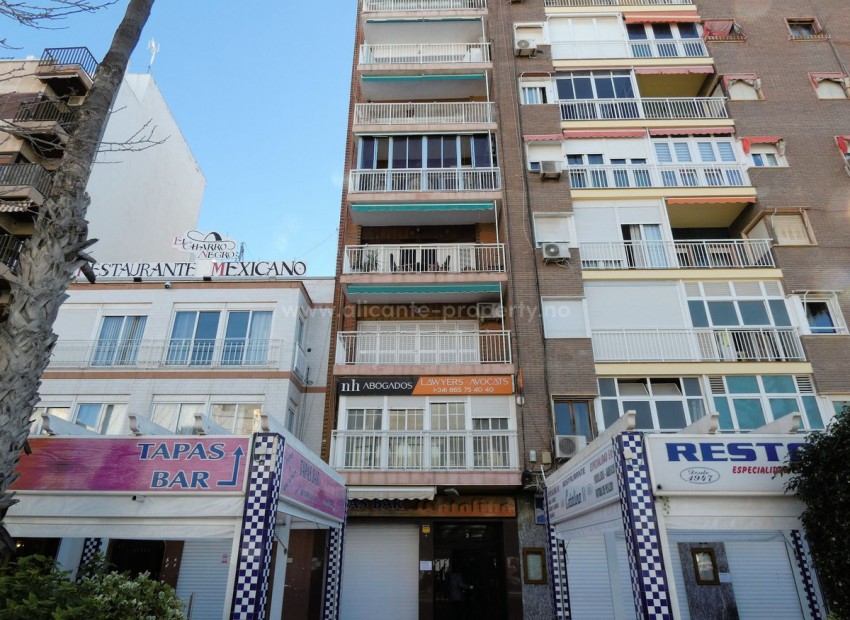 Leilighet / leilighet i Torrevieja Centro