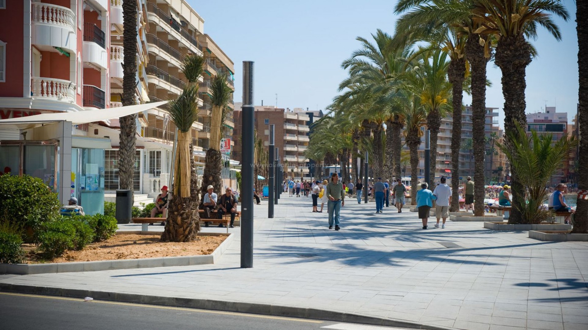 Leilighet / leilighet i Torrevieja Centro