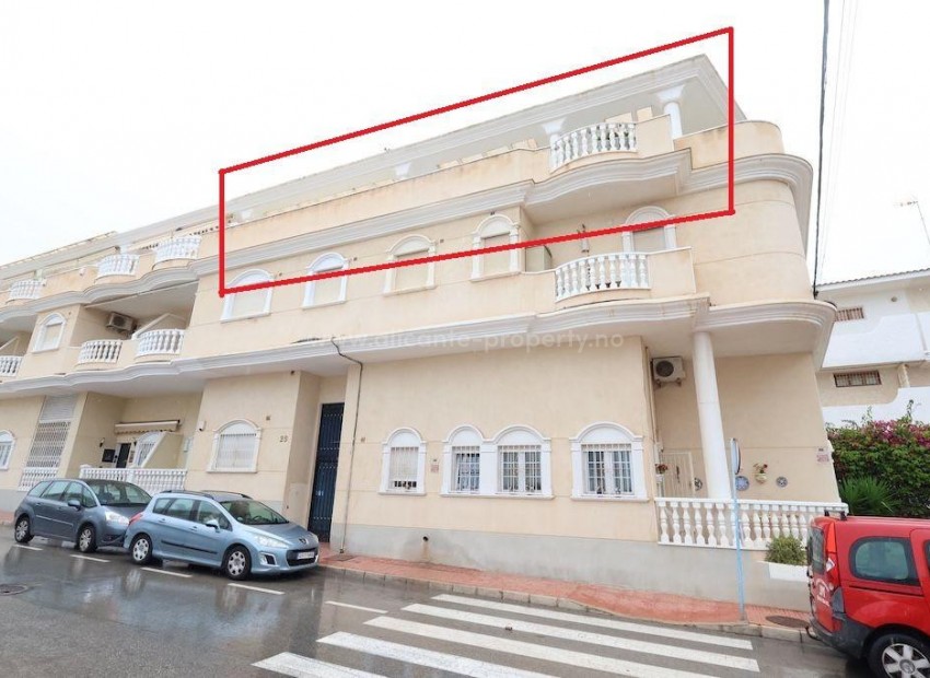 Leilighet / leilighet i Torrevieja Centro