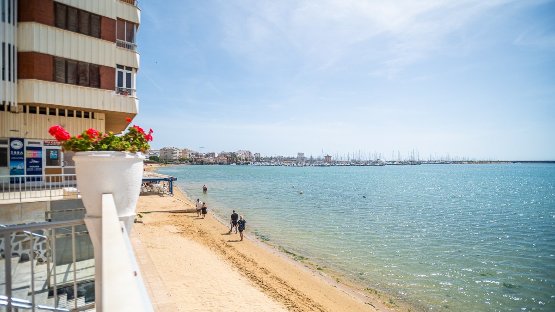 Leilighet / leilighet i Torrevieja Centro