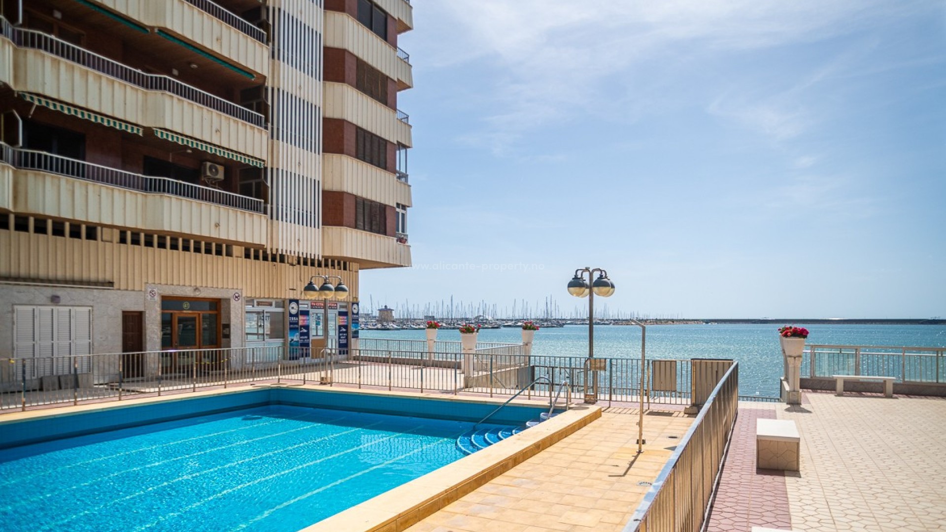 Leilighet / leilighet i Torrevieja Centro