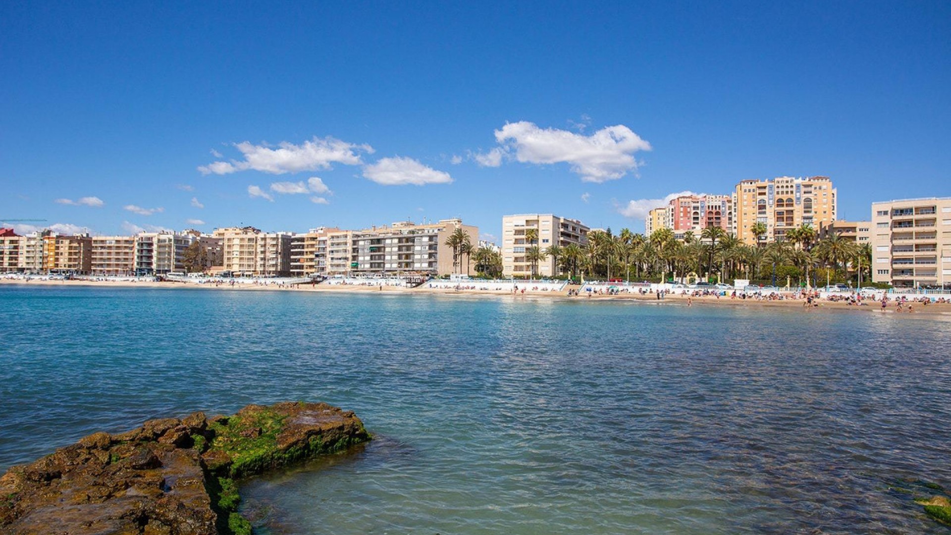 Leilighet / leilighet i Torrevieja Centro