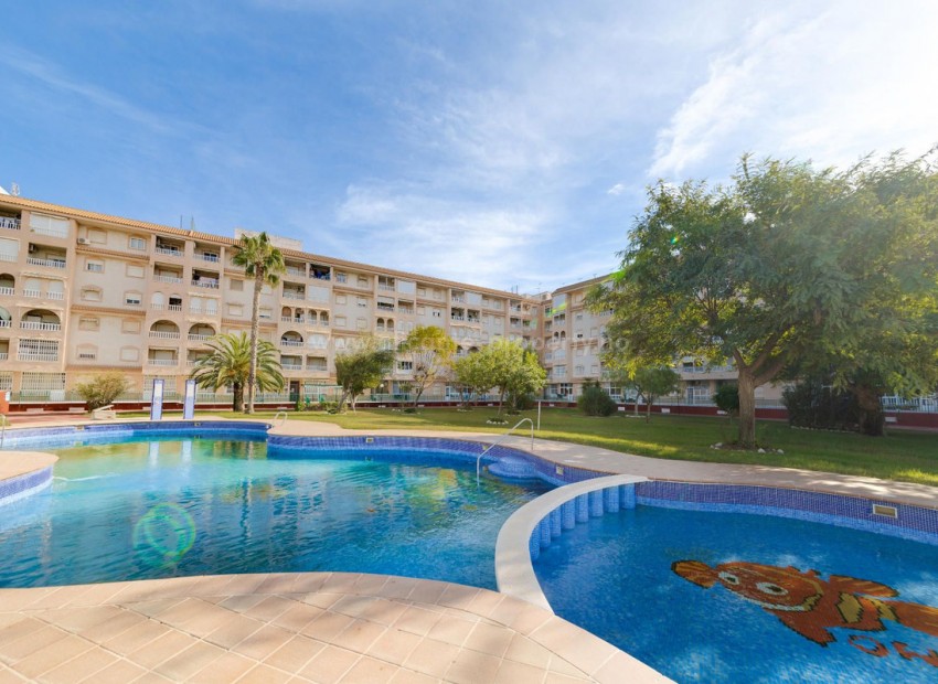 Leilighet / leilighet i Torrevieja Centro