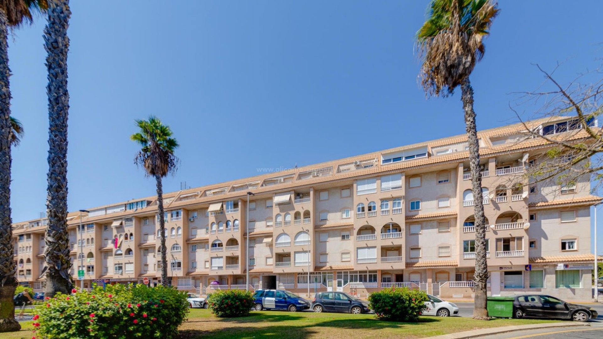 Leilighet / leilighet i Torrevieja Centro