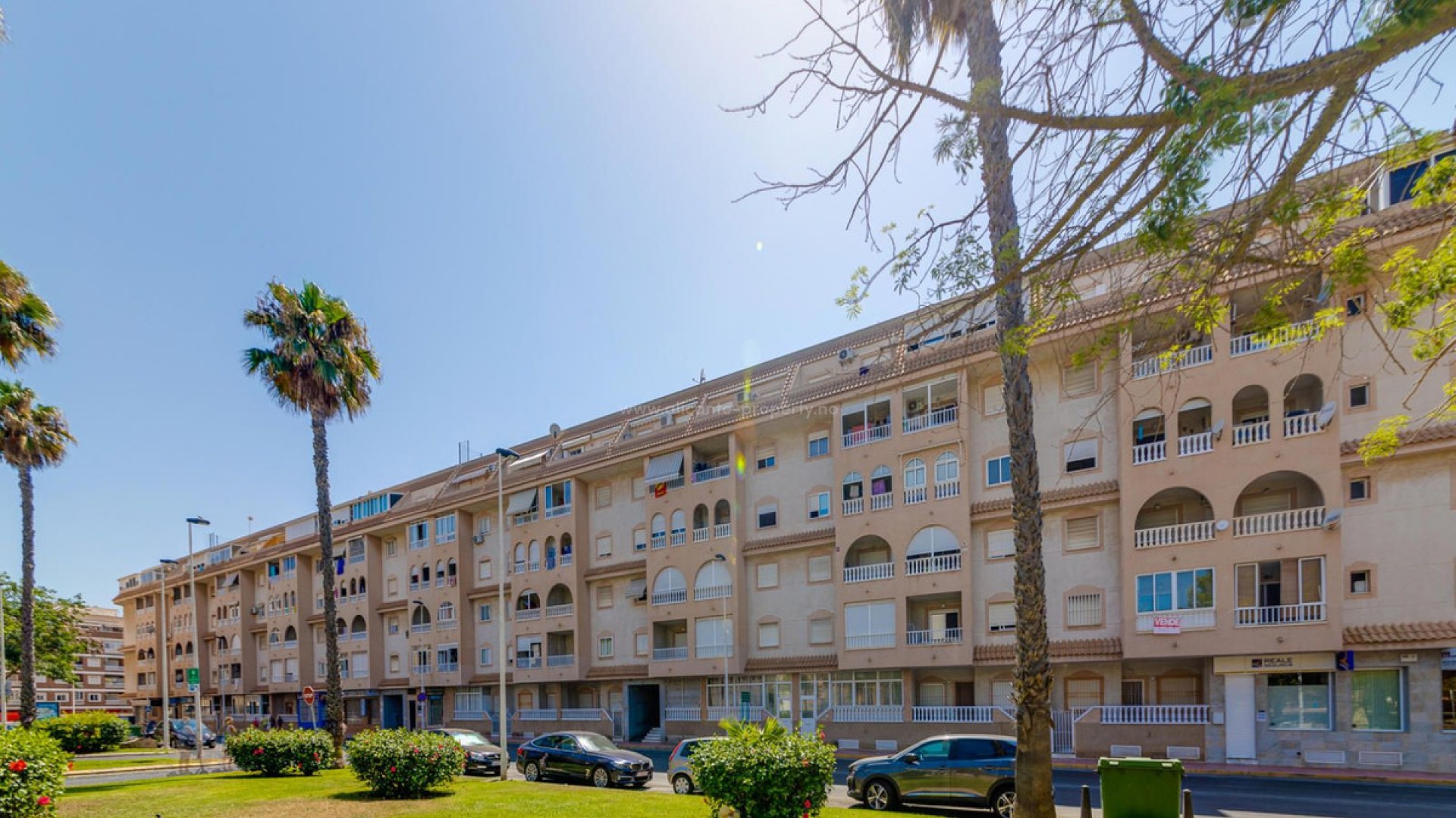 Leilighet / leilighet i Torrevieja Centro