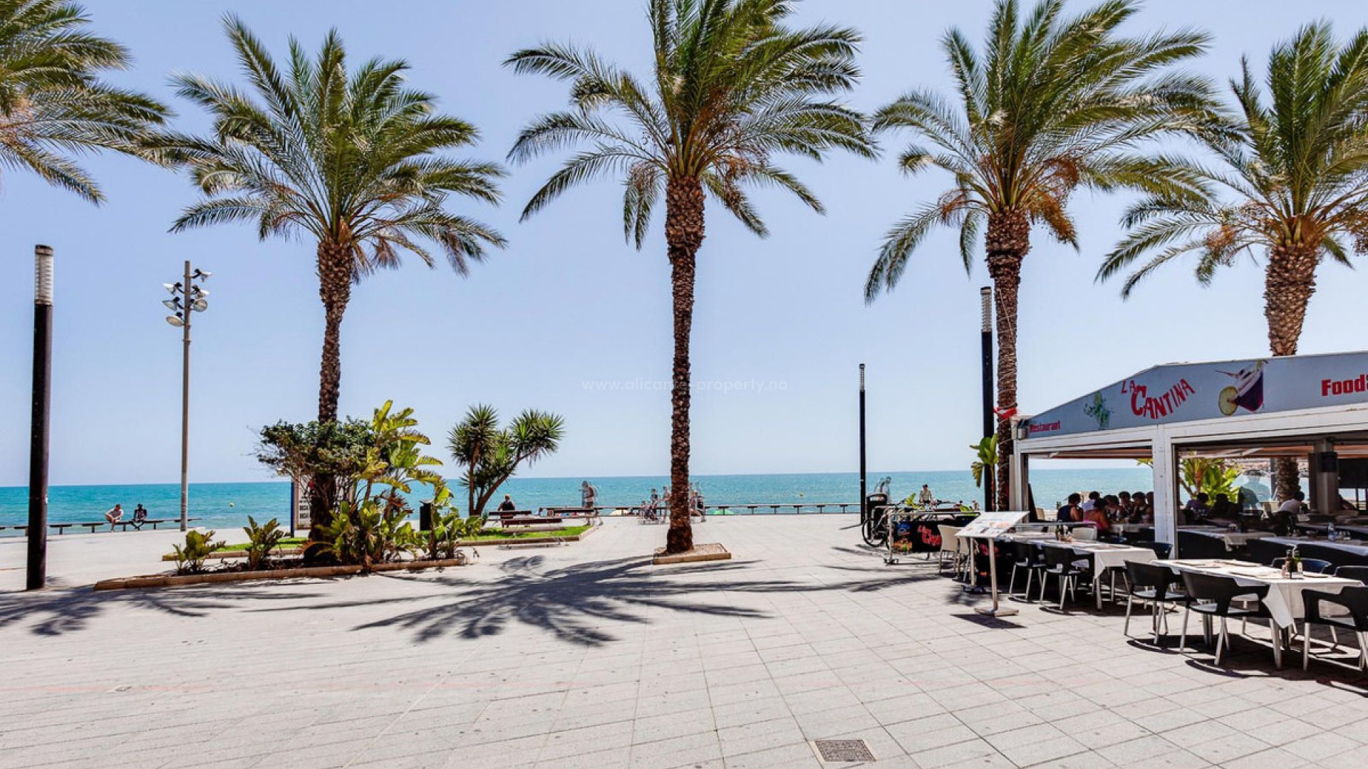 Leilighet / leilighet i Torrevieja Centro