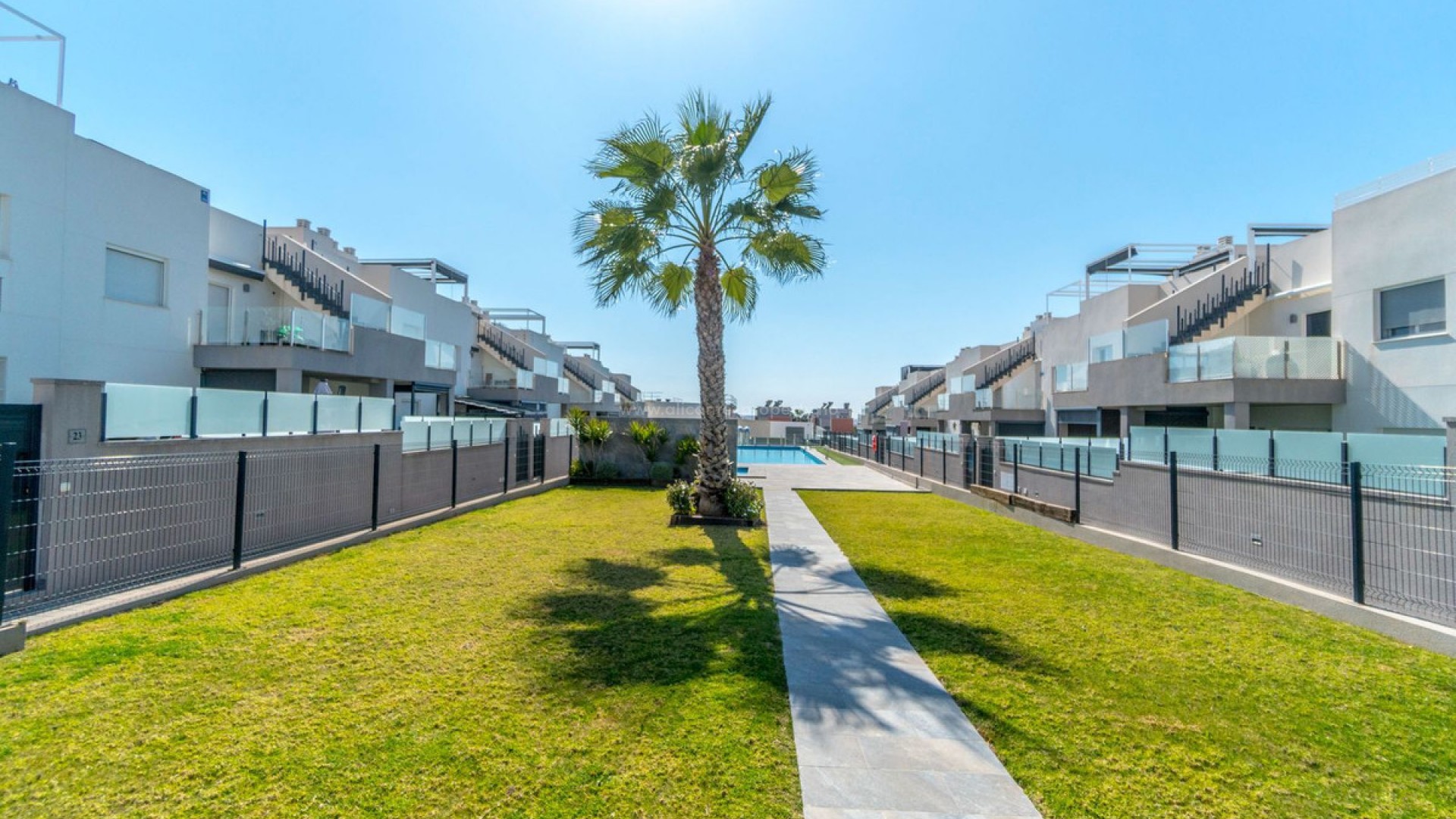Leilighet / leilighet i Torrevieja Centro