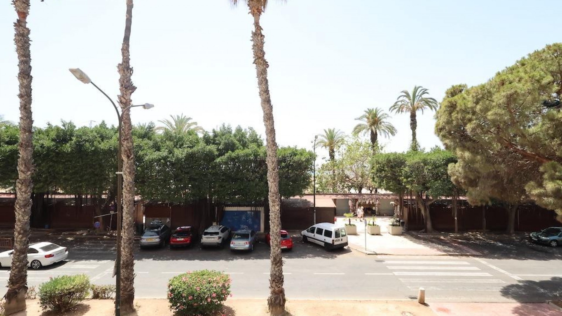 Leilighet / leilighet i Torrevieja Centro