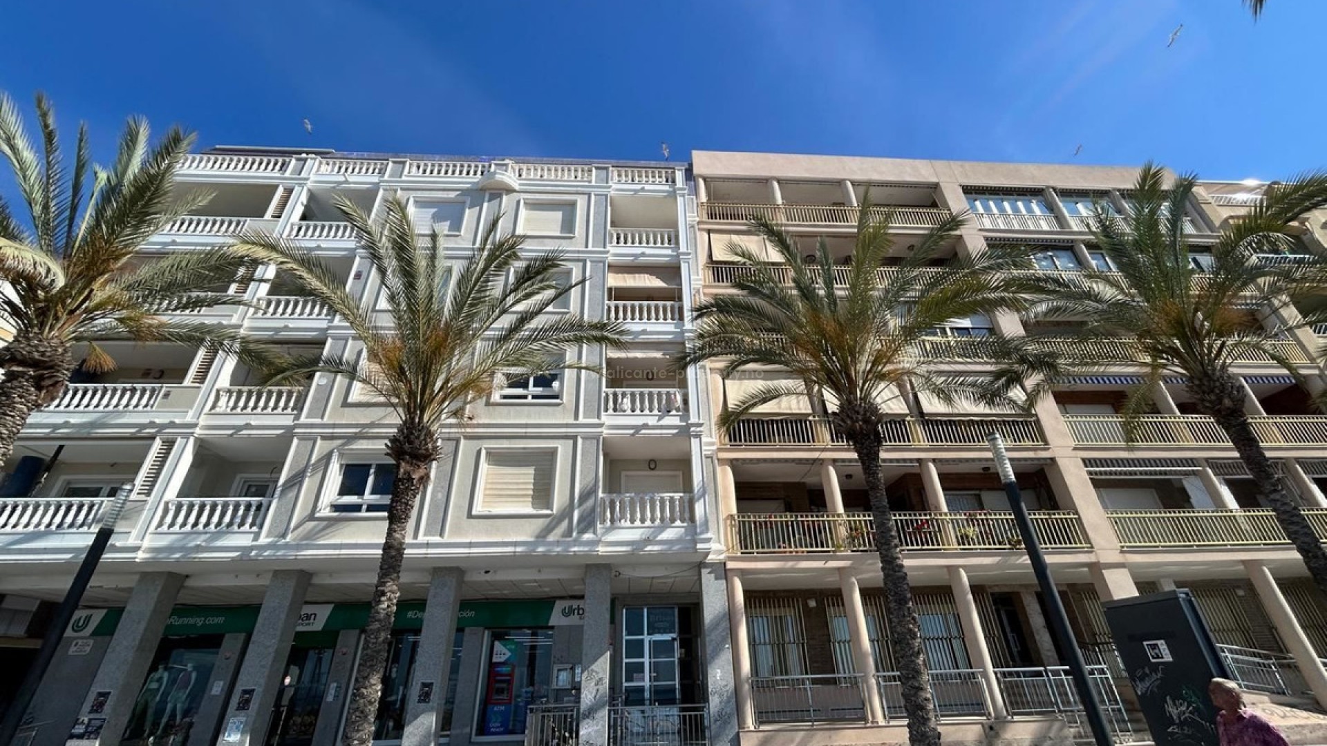 Leilighet / leilighet i Torrevieja Centro