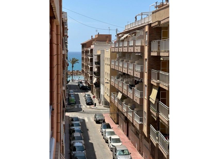Leilighet / leilighet i Torrevieja Centro