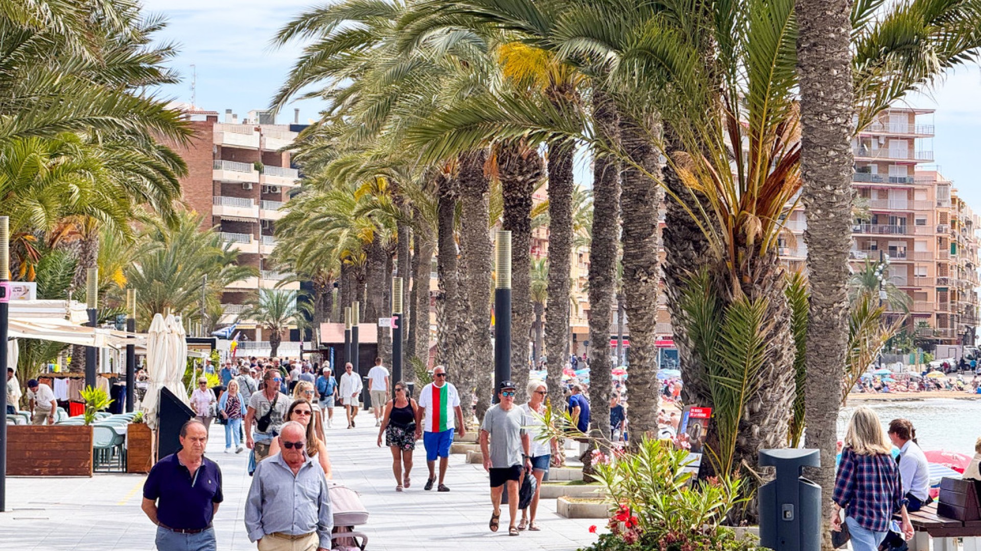 Leilighet / leilighet i Torrevieja Centro