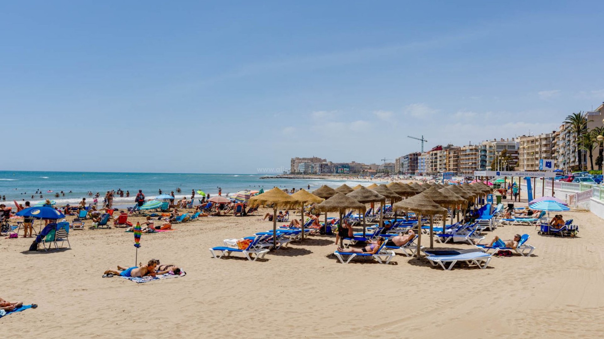 Leilighet / leilighet i Torrevieja Centro