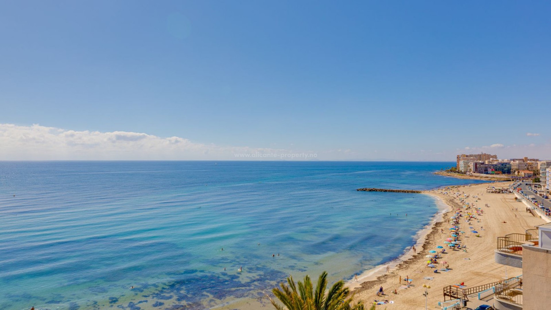 Leilighet / leilighet i Torrevieja Centro
