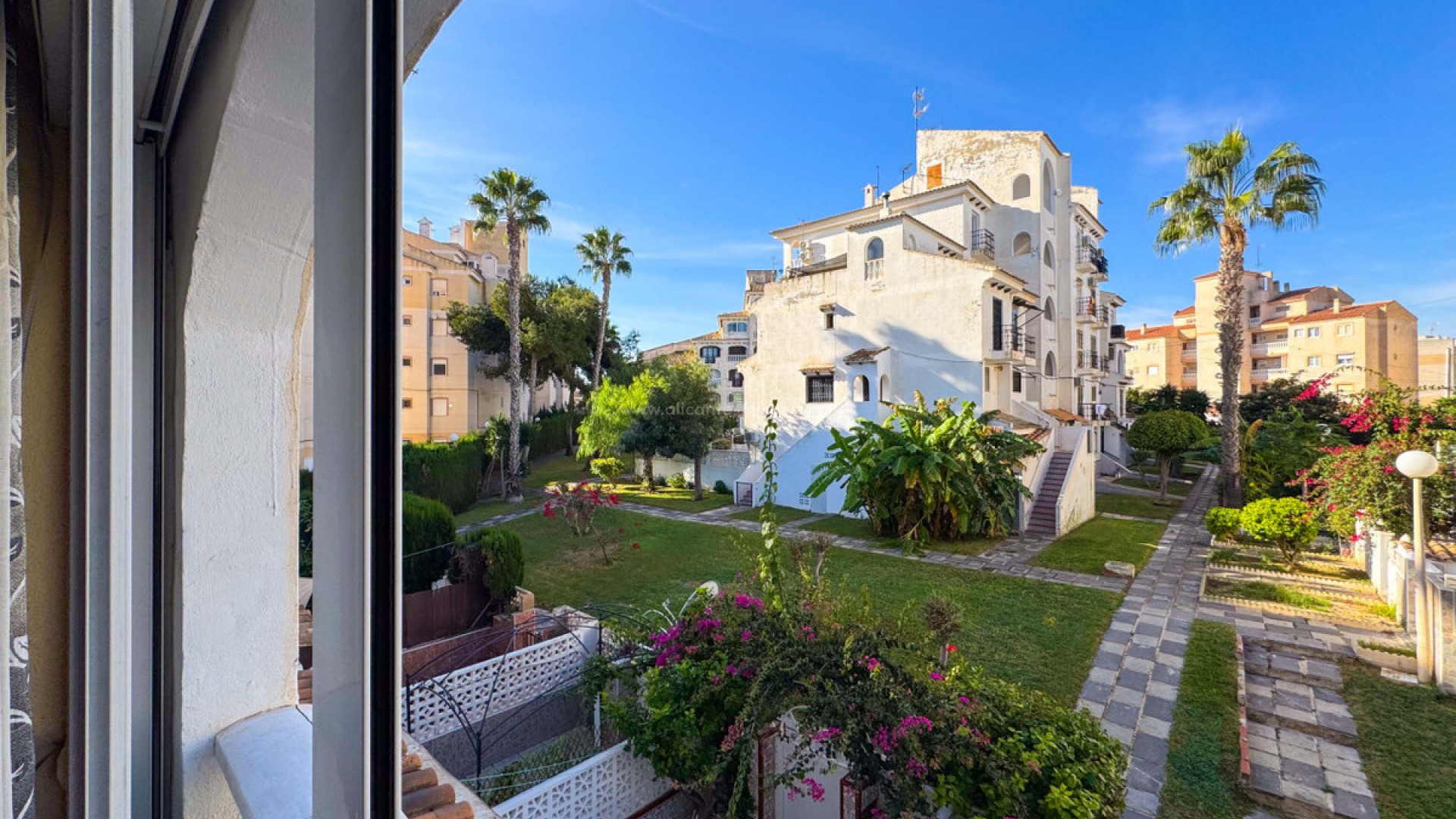 Leilighet / leilighet i Torrevieja Centro
