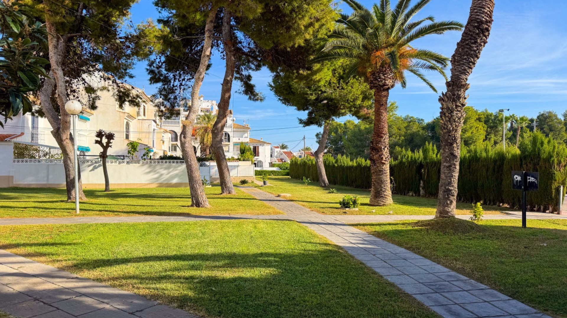 Leilighet / leilighet i Torrevieja Centro
