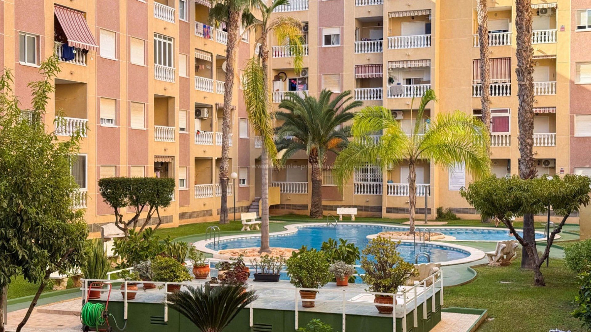Leilighet / leilighet i Torrevieja Centro