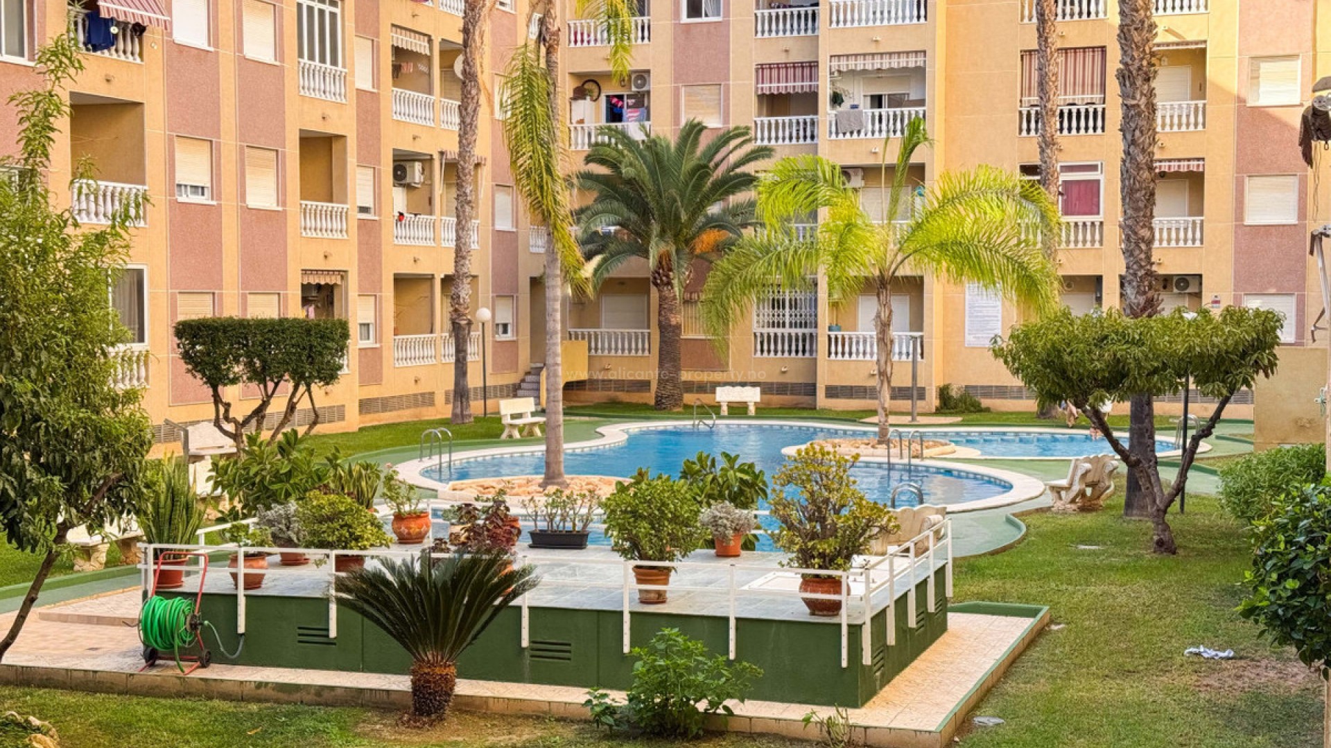 Leilighet / leilighet i Torrevieja Centro