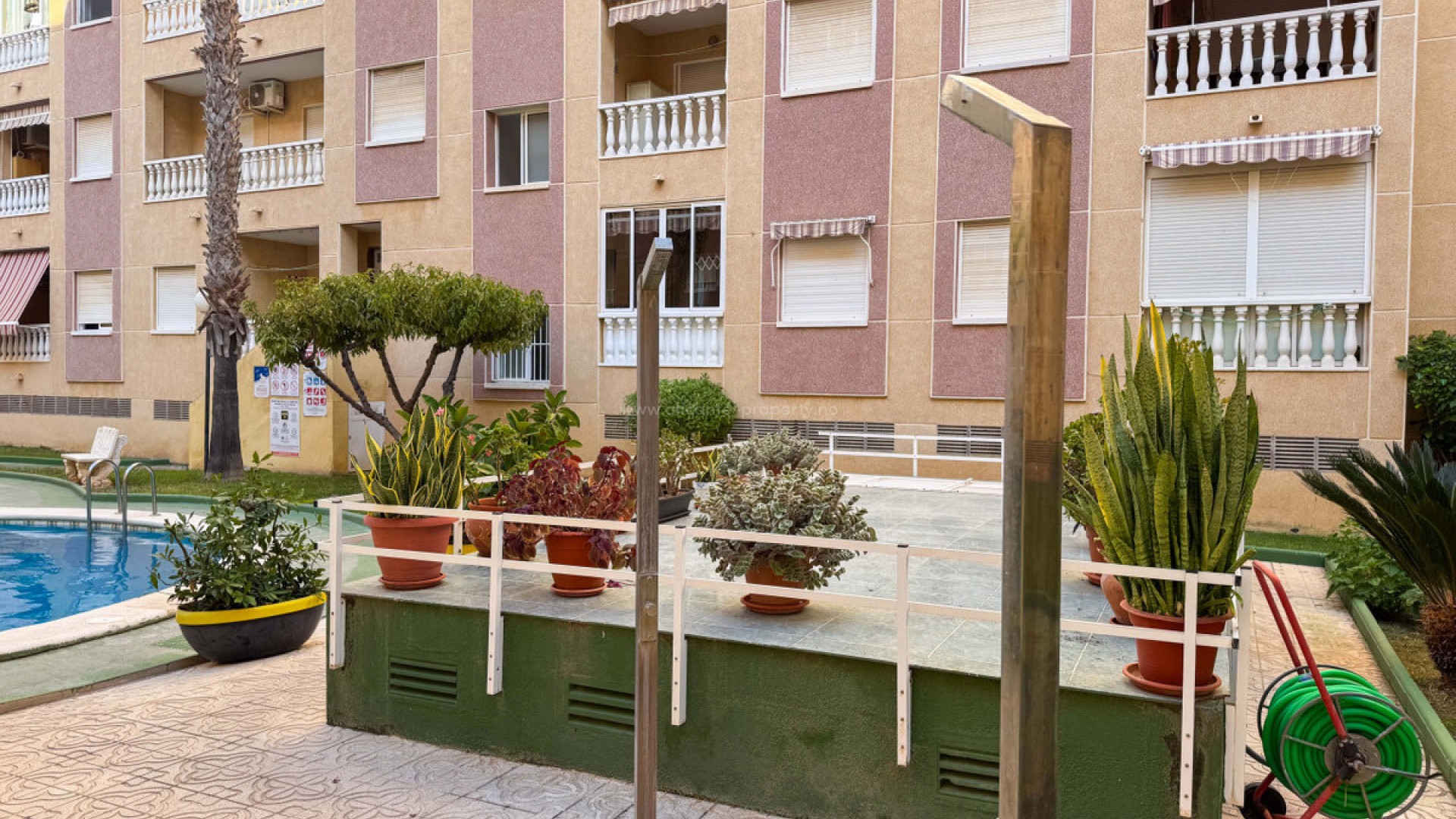 Leilighet / leilighet i Torrevieja Centro