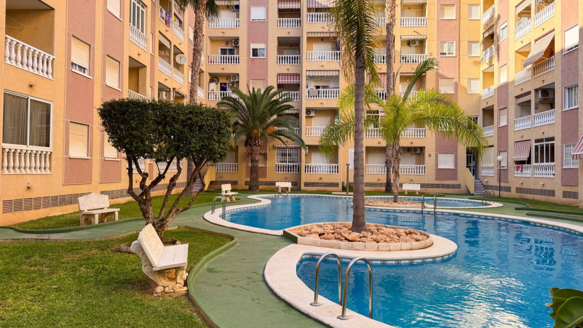 Leilighet / leilighet i Torrevieja Centro