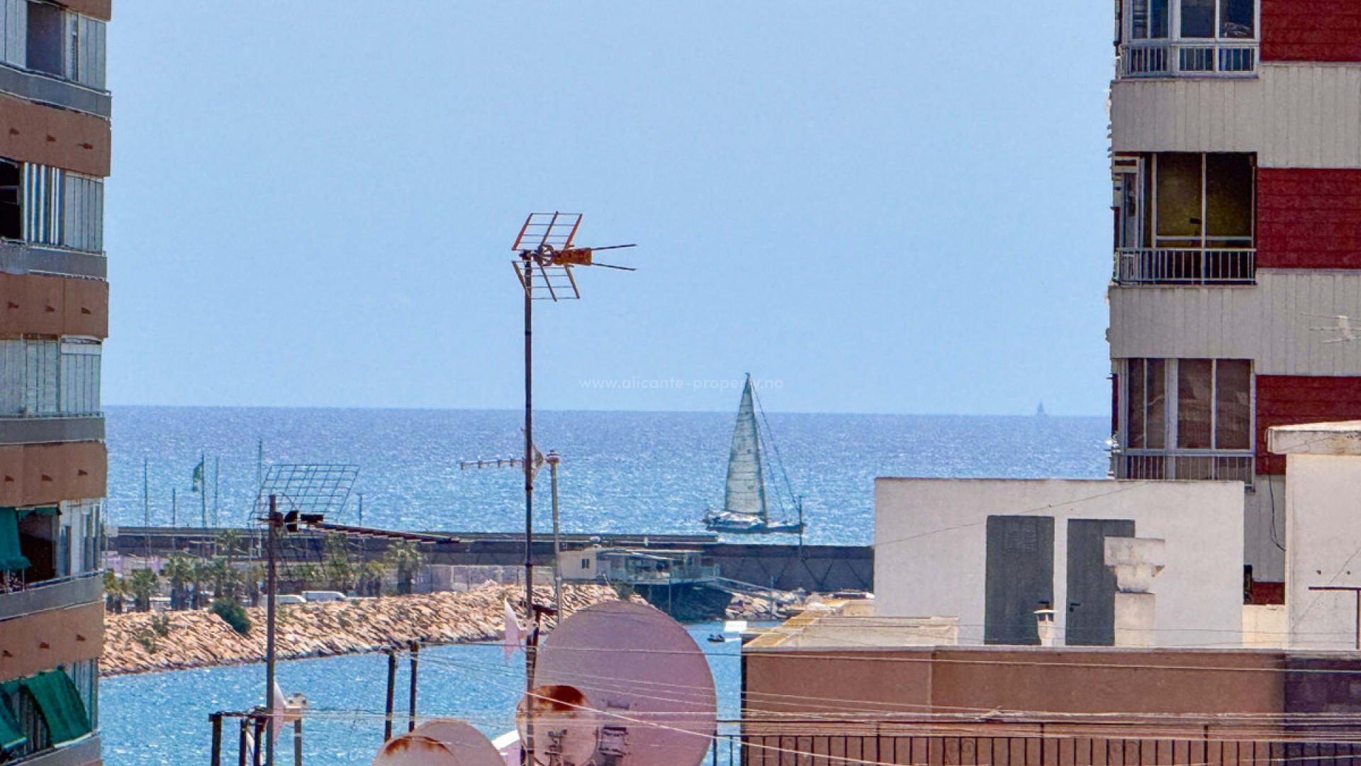 Leilighet / leilighet i Torrevieja Centro