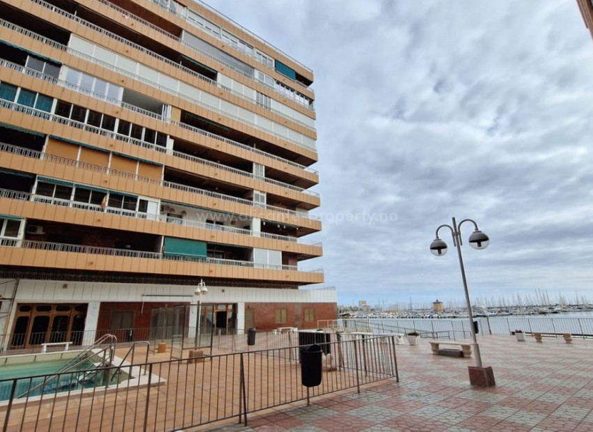 Leilighet / leilighet i Torrevieja Centro