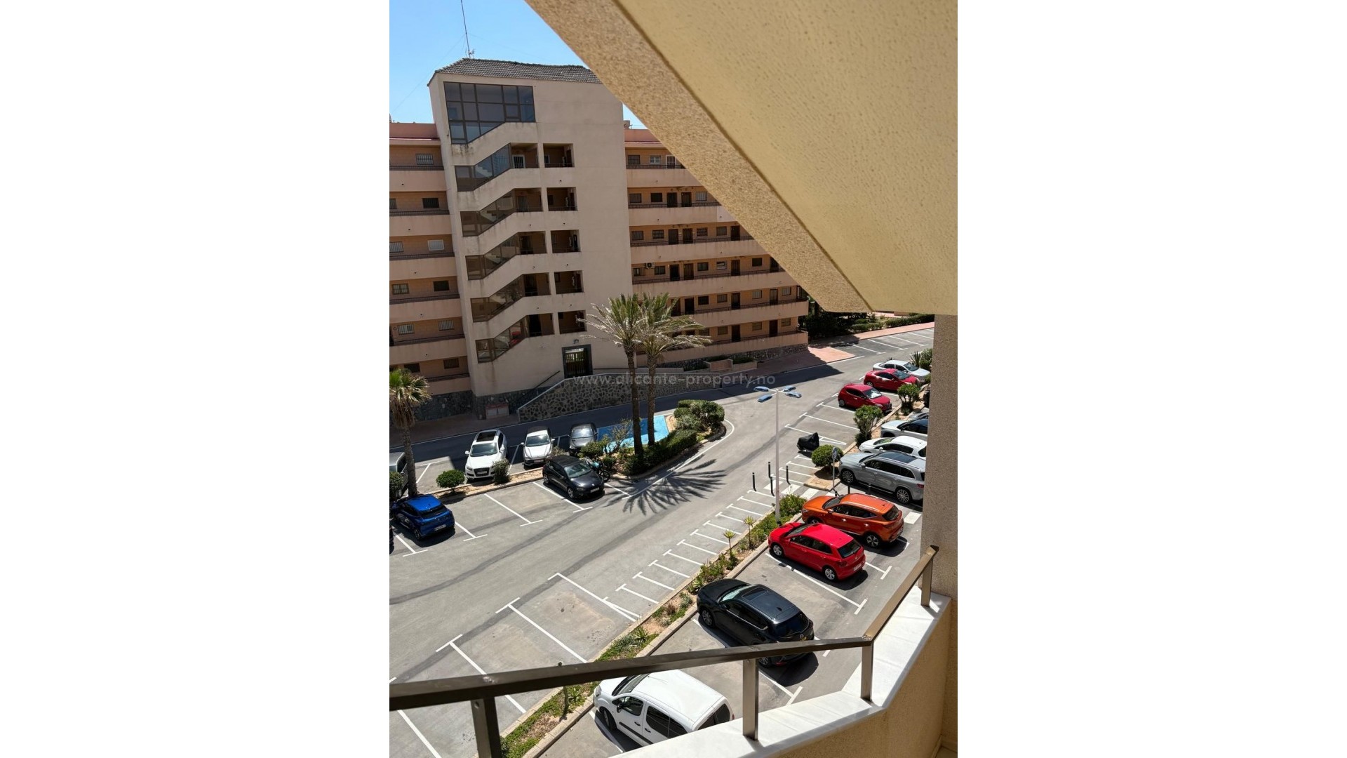 Leilighet / leilighet i Torrevieja Centro