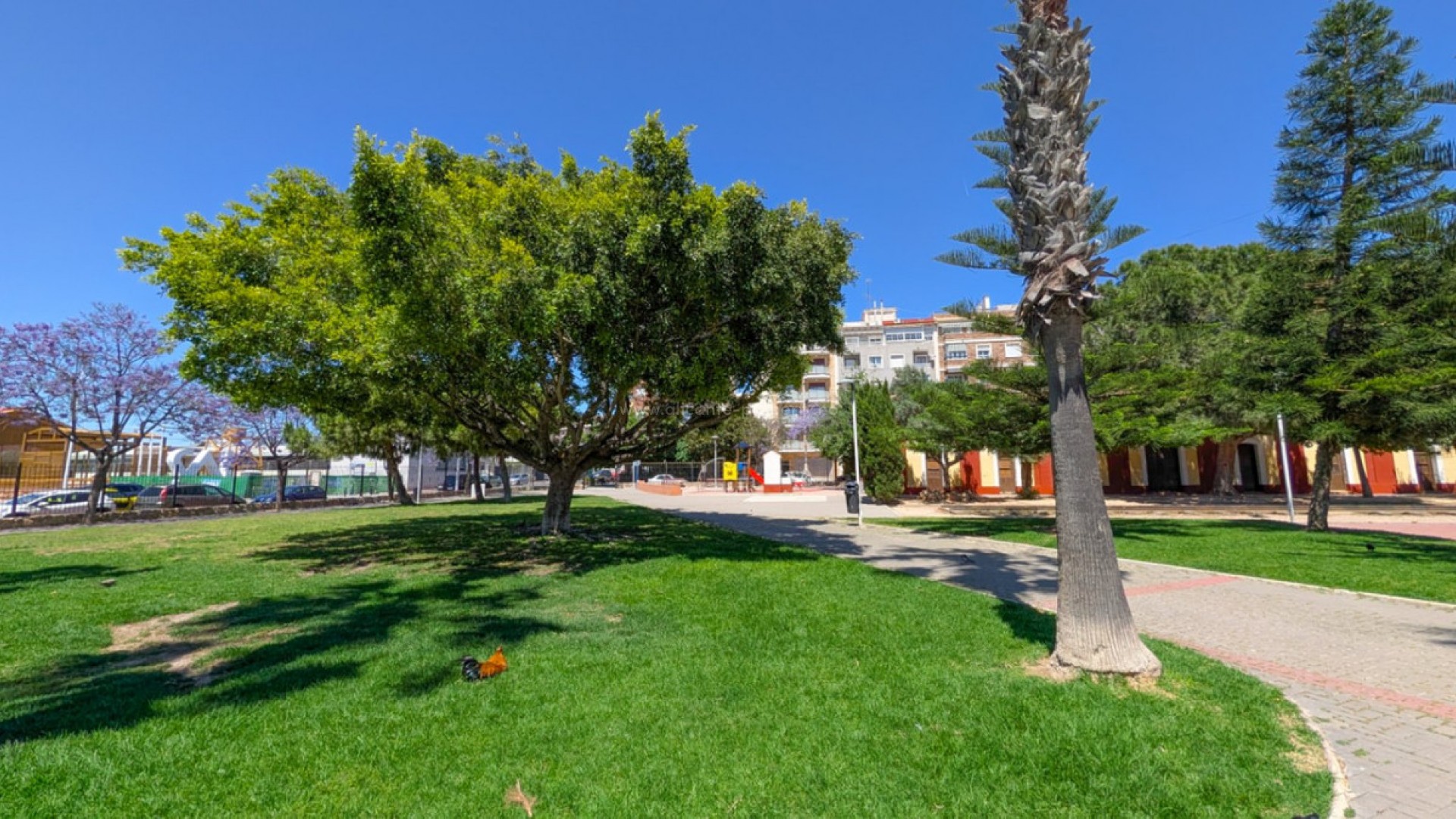 Leilighet / leilighet i Torrevieja Centro
