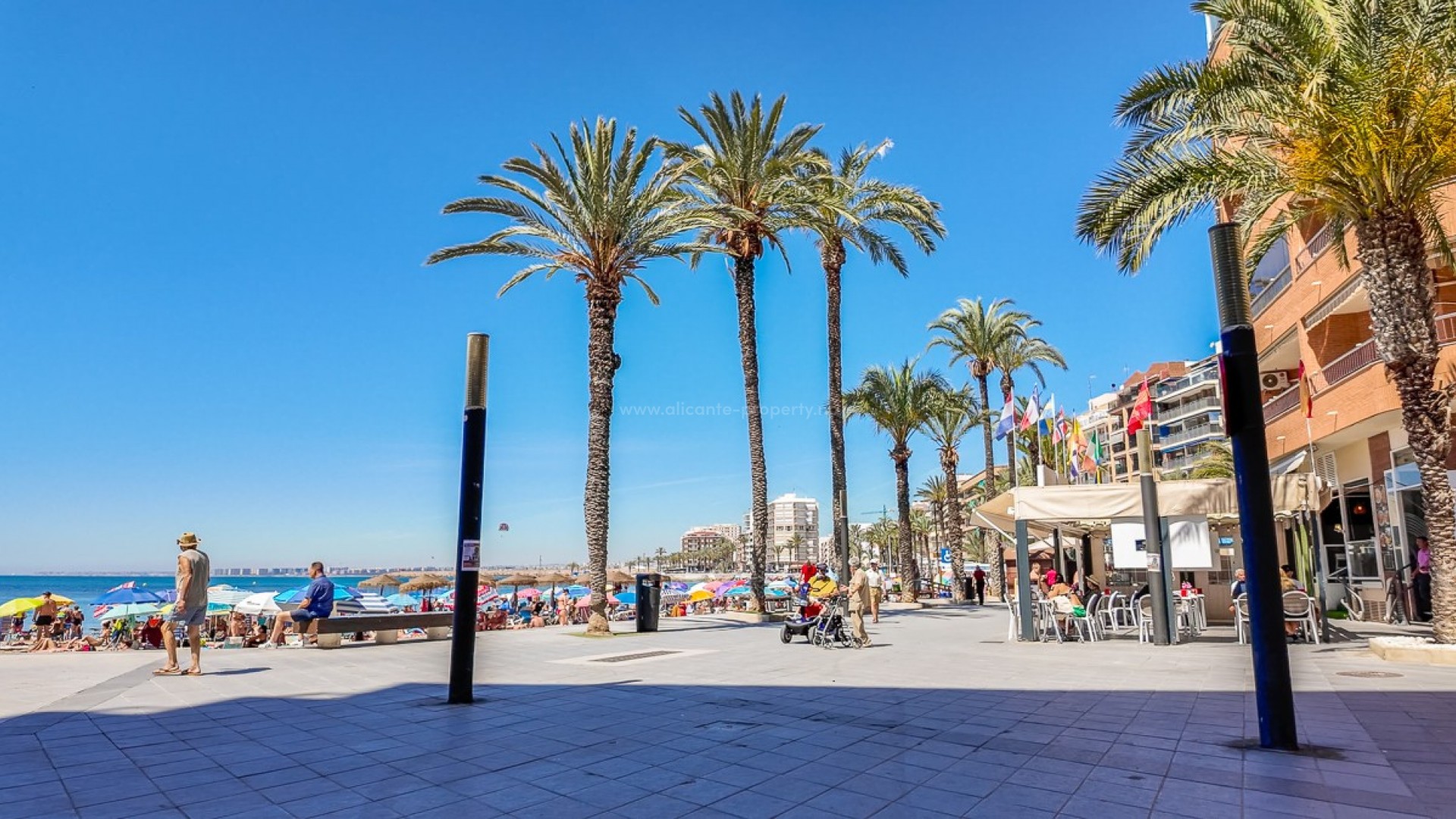 Leilighet / leilighet i Torrevieja Centro