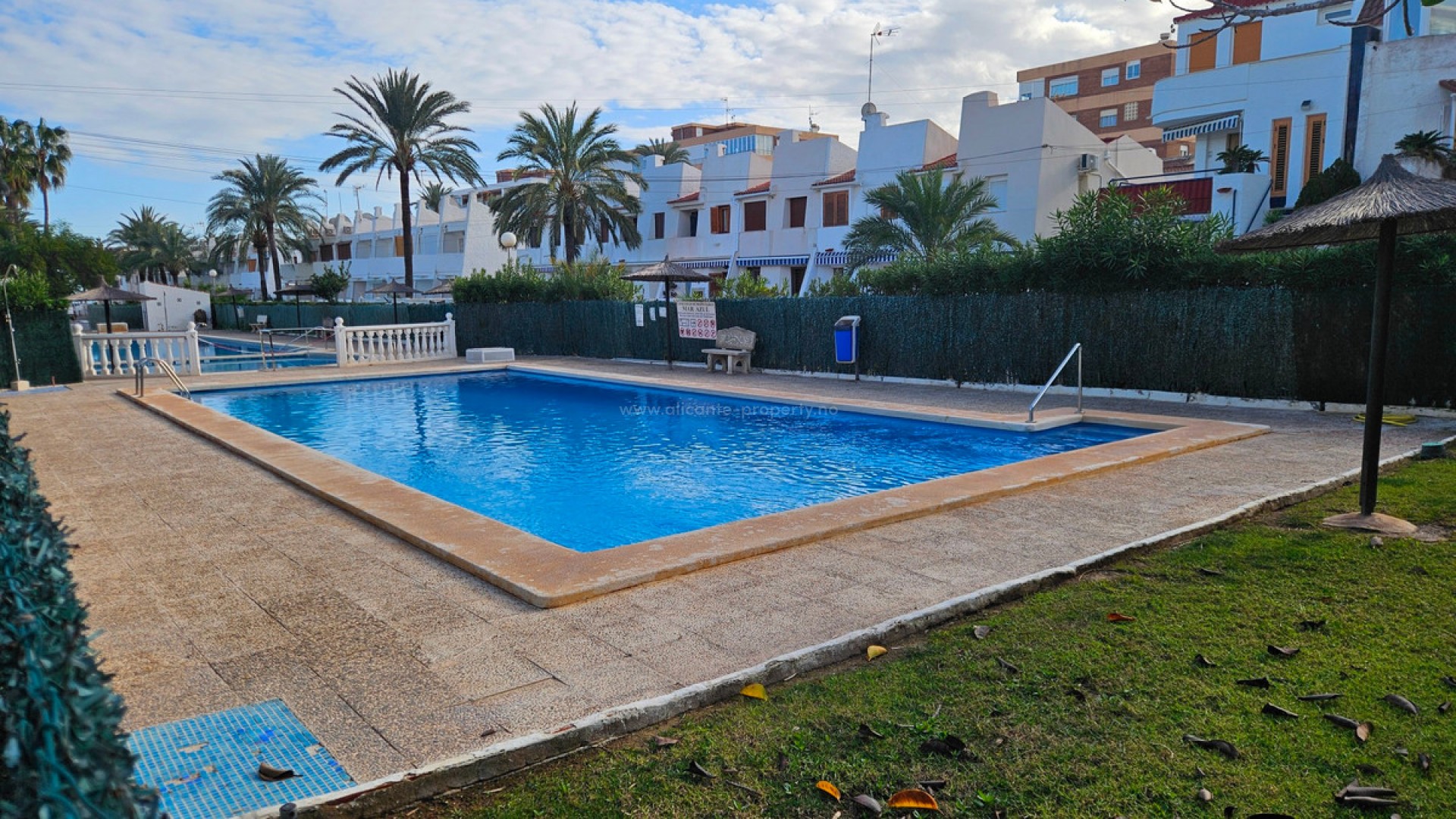 Leilighet / leilighet i Torrevieja Centro