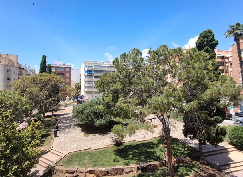Leilighet / leilighet i Torrevieja Centro