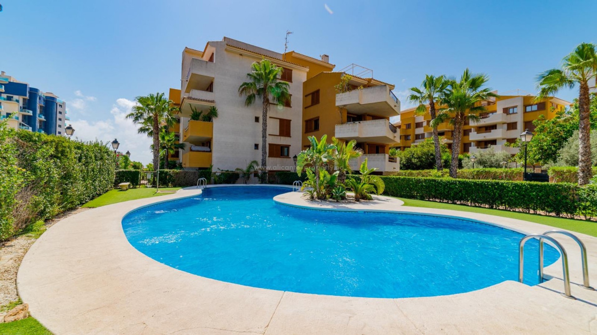Leilighet / leilighet i Torrevieja Centro