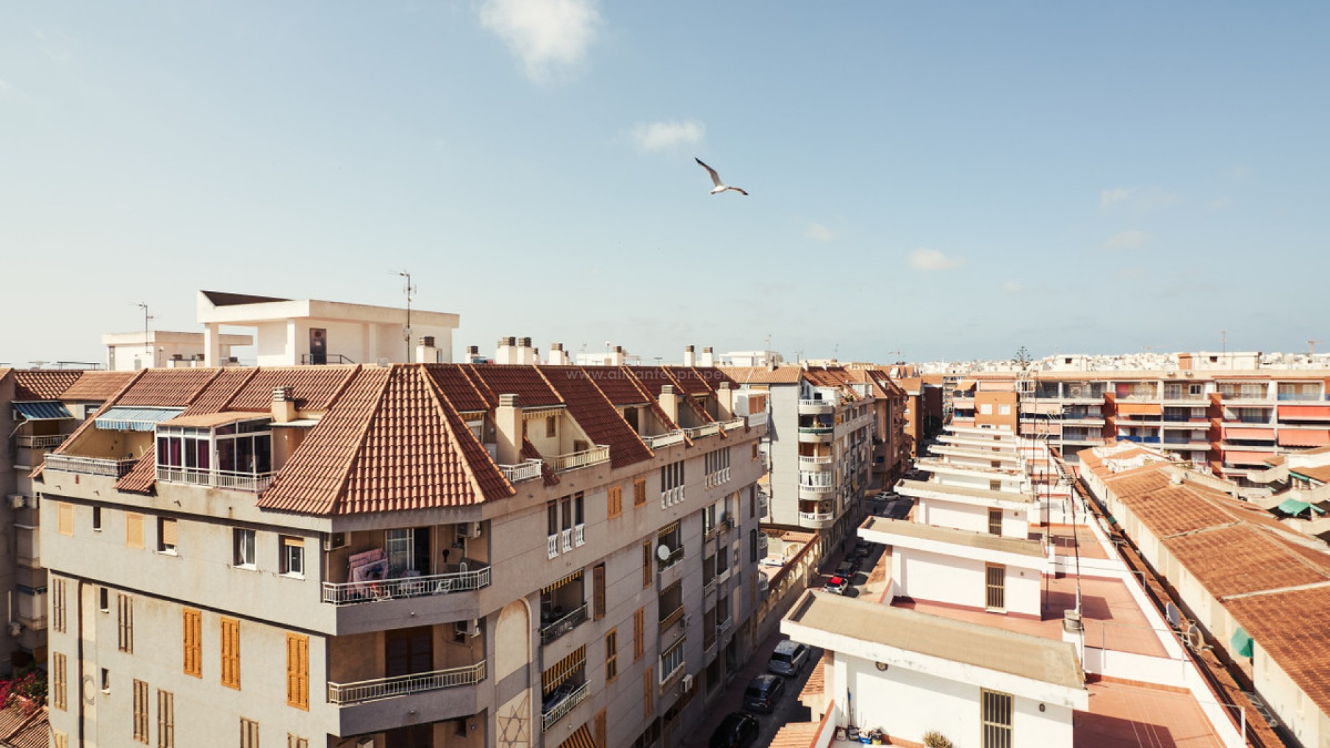 Leilighet / leilighet i Torrevieja Centro