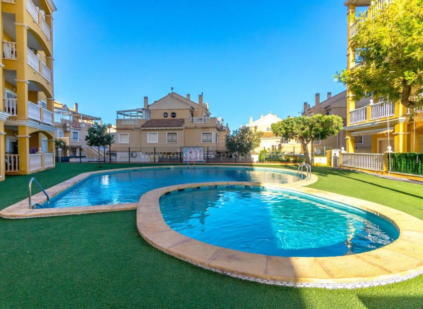 Leilighet / leilighet i Torrevieja Centro
