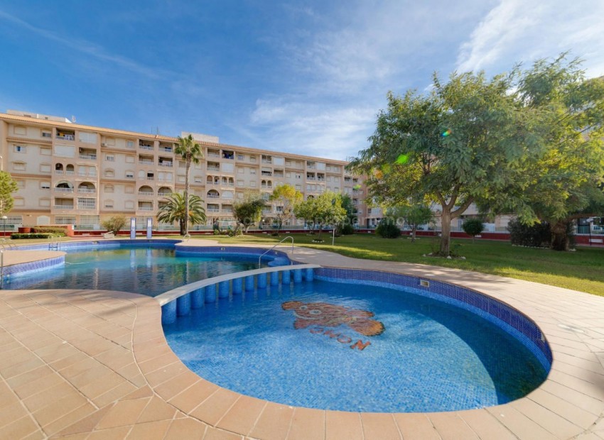 Leilighet / leilighet i Torrevieja Centro