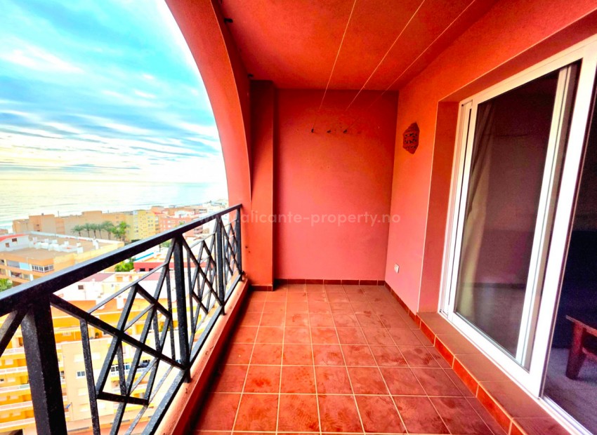 Leilighet / leilighet i Torrevieja Centro