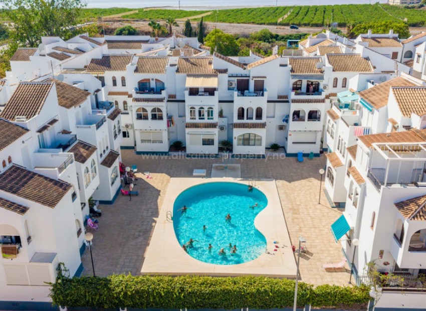 Leilighet / leilighet i Torrevieja Centro