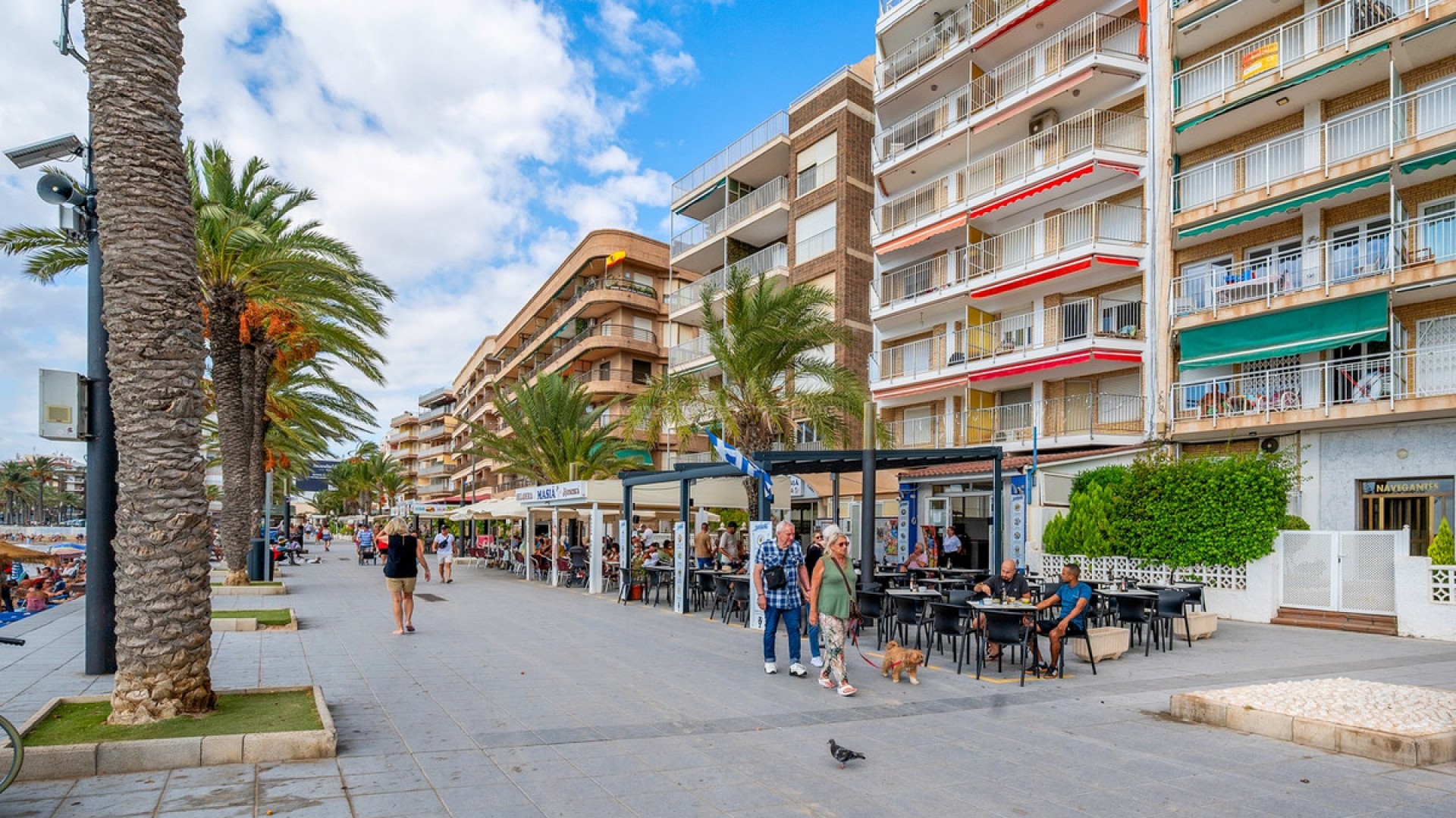 Leilighet / leilighet i Torrevieja Centro