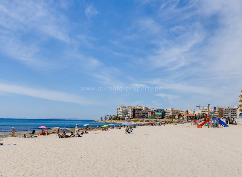 Leilighet / leilighet i Torrevieja Centro
