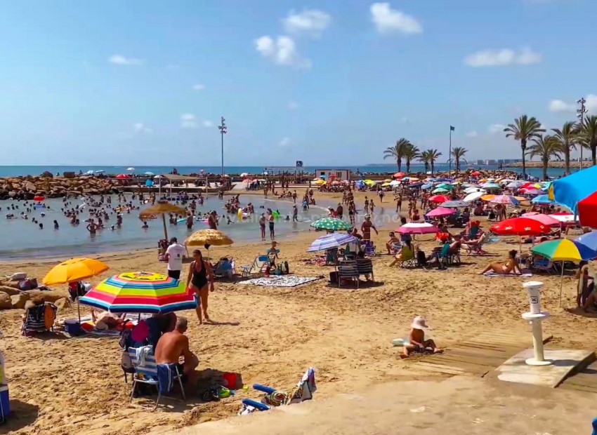 Leilighet / leilighet i Torrevieja Centro
