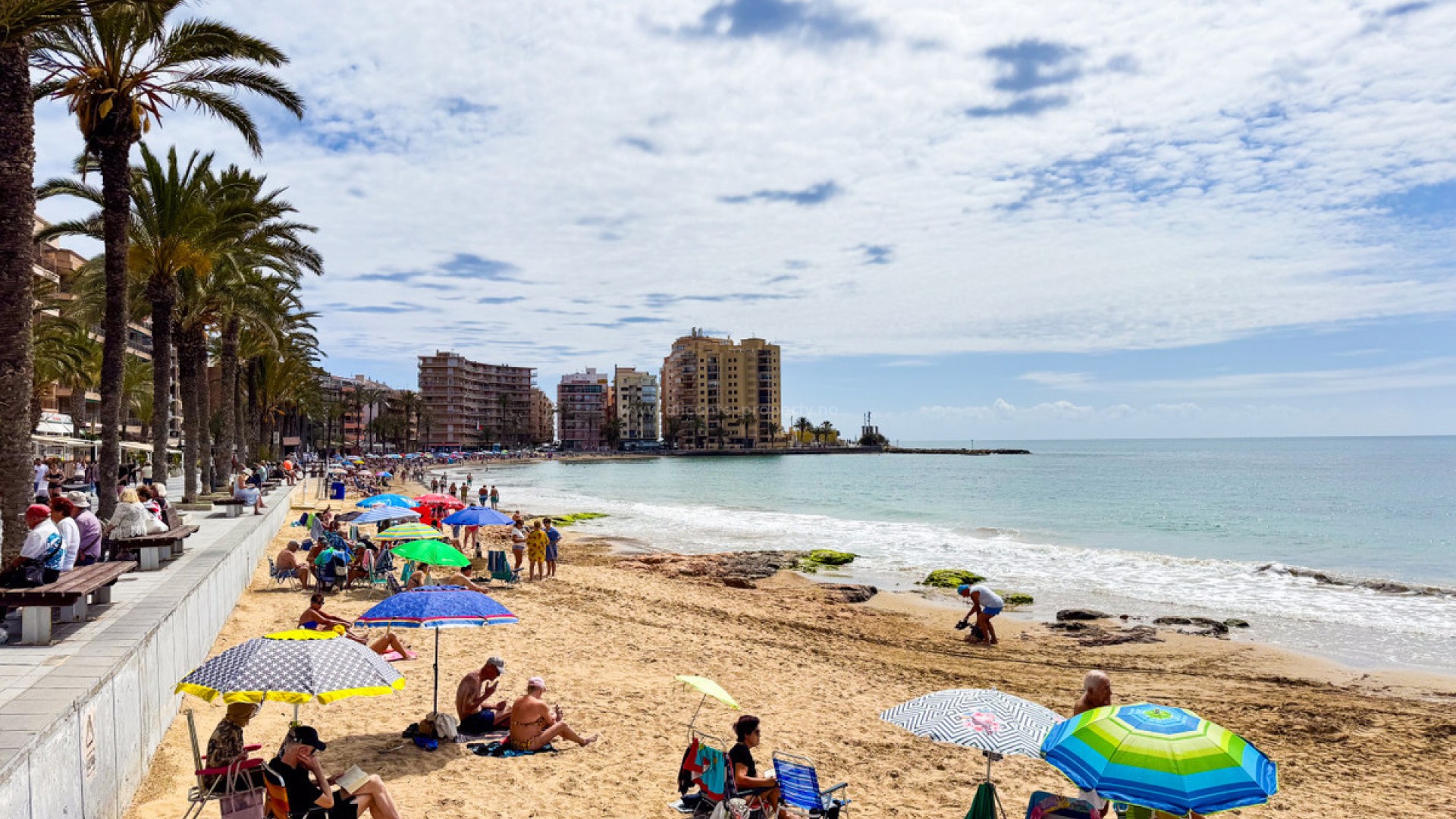 Leilighet / leilighet i Torrevieja Centro