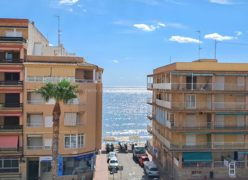 Leilighet / leilighet i Torrevieja Centro