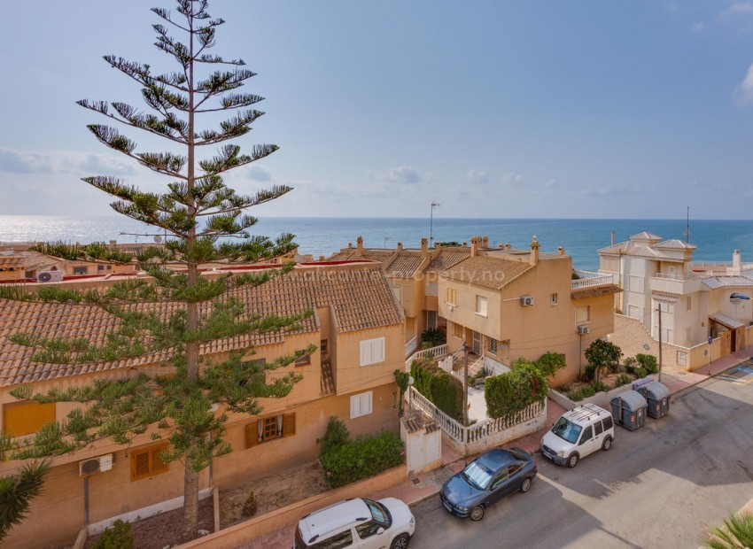Leilighet / leilighet i Torrevieja Centro