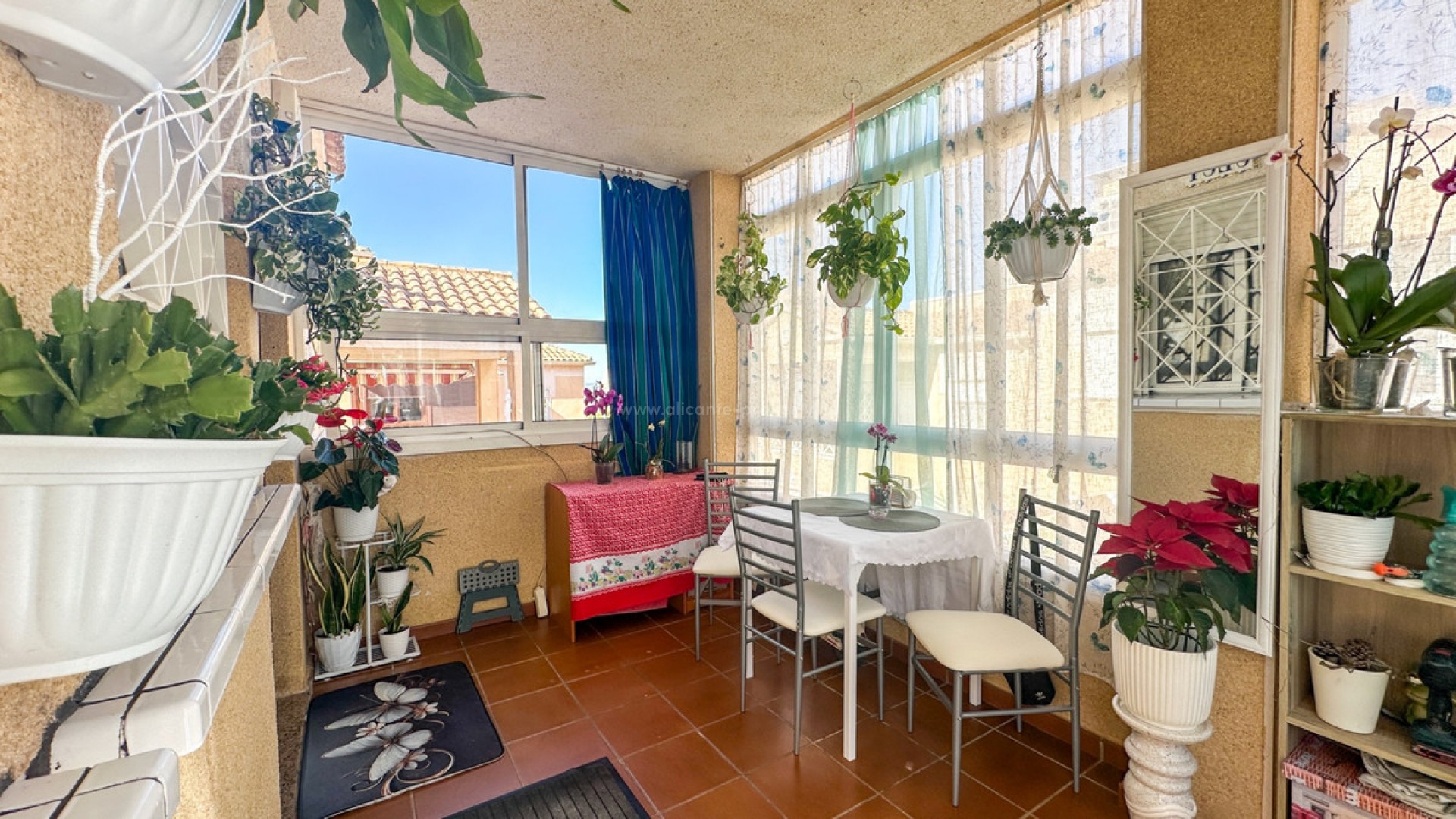 Leilighet / leilighet i Torrevieja Centro