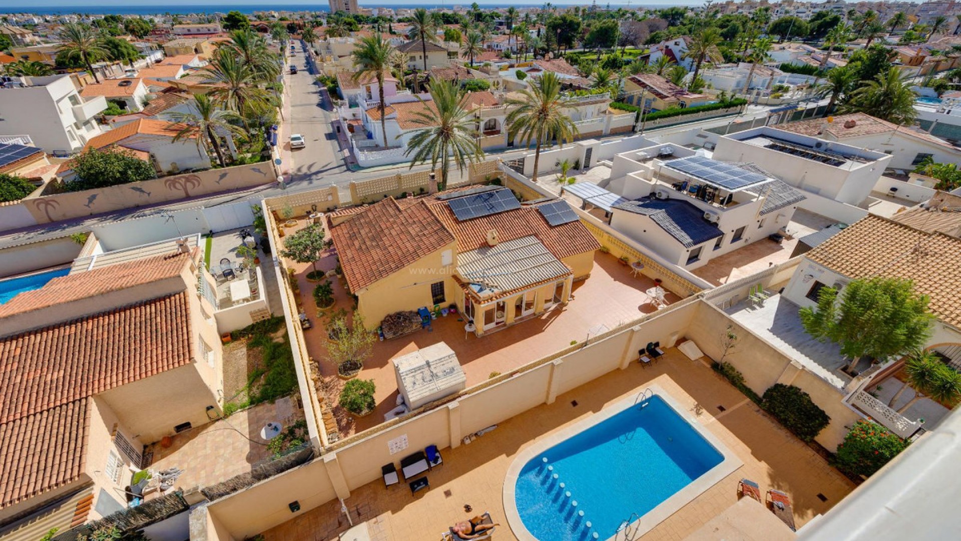 Leilighet / leilighet i Torrevieja Centro