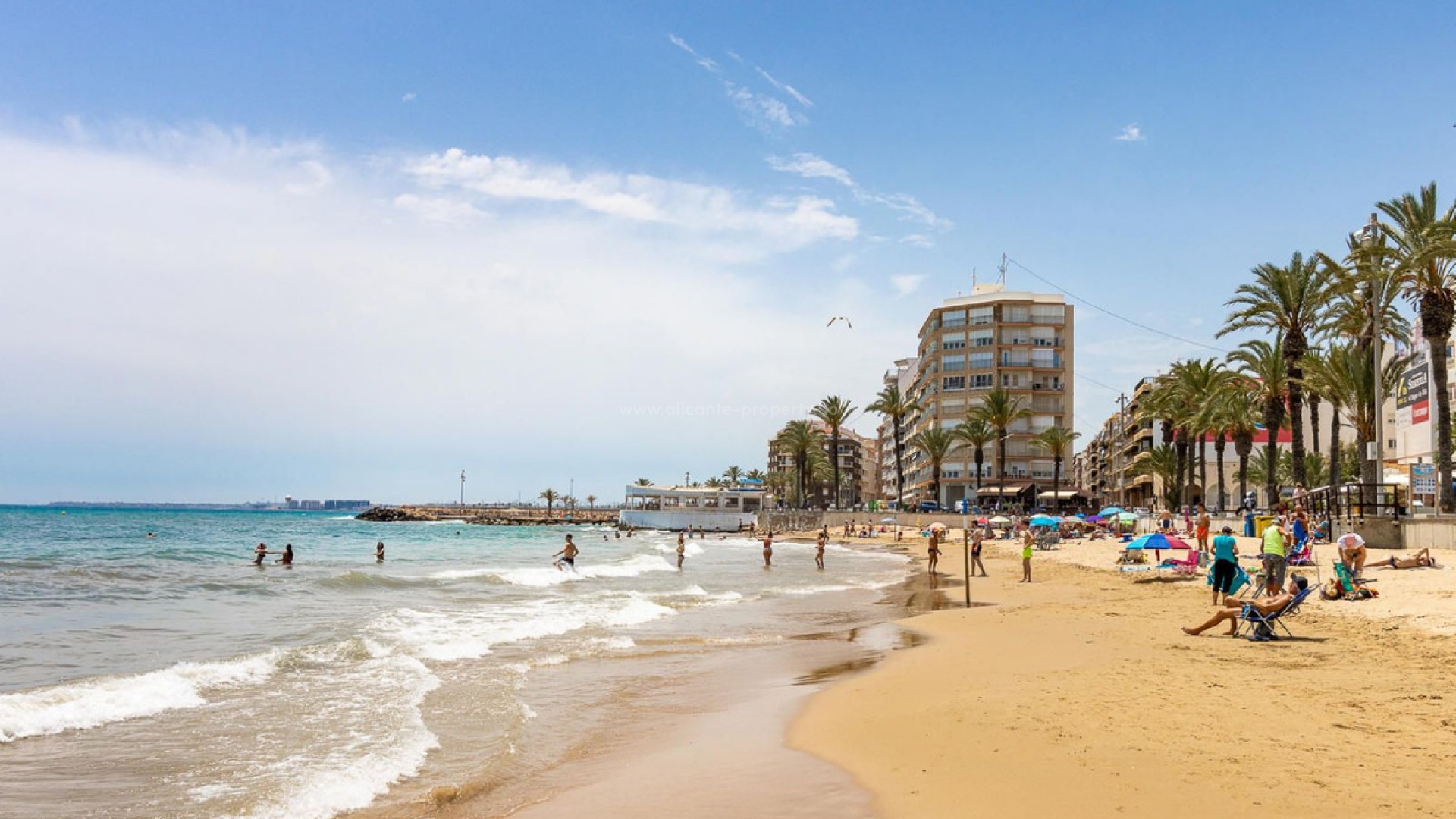 Leilighet / leilighet i Torrevieja Centro