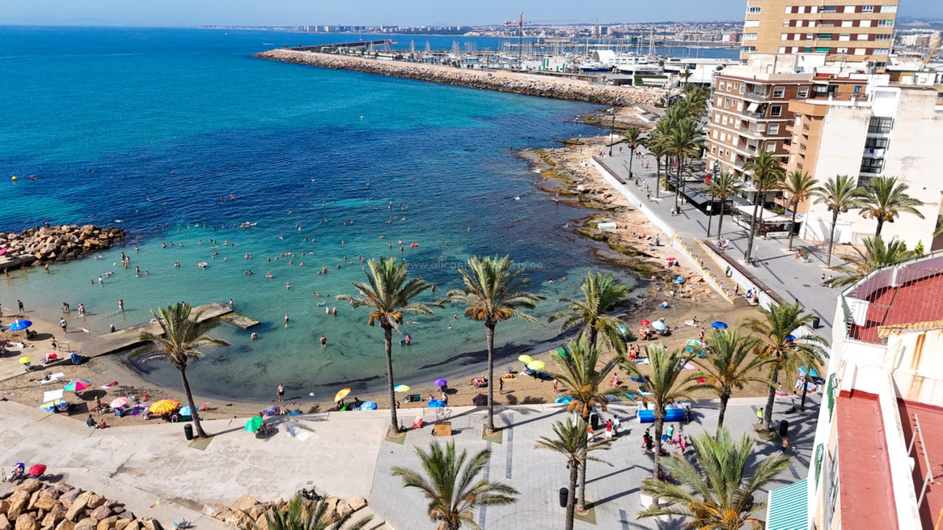 Leilighet / leilighet i Torrevieja Centro