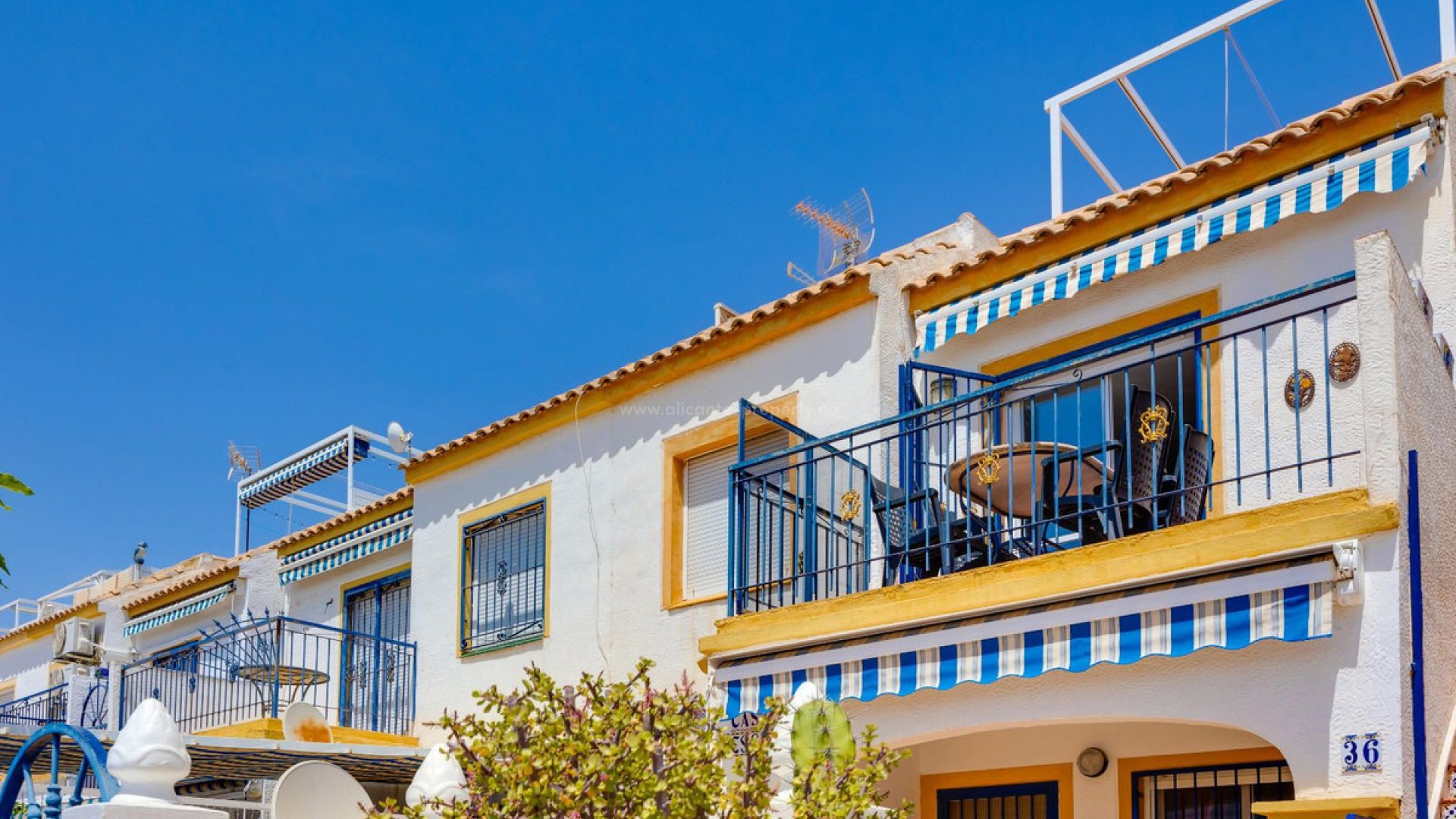 Leilighet / leilighet i Torrevieja Centro
